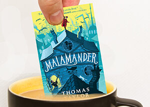 (blog) Malamander